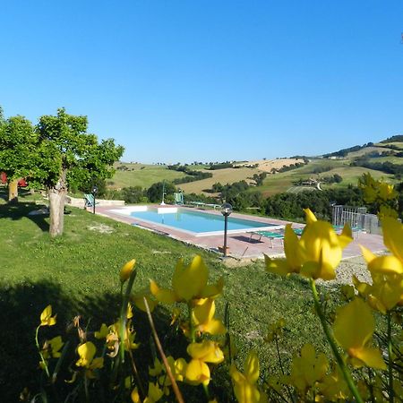 Agriturismo Dai Mori Isola del Piano Luaran gambar