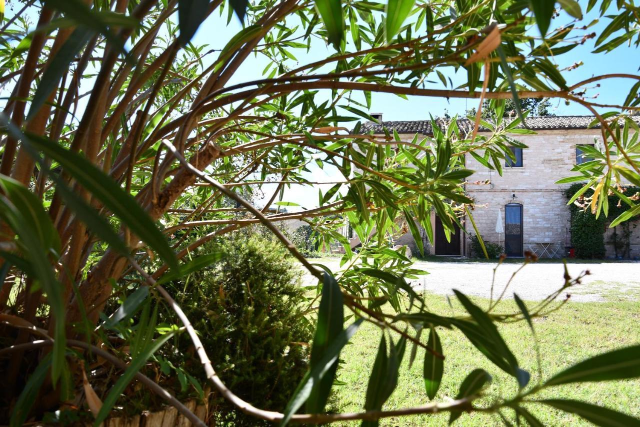Agriturismo Dai Mori Isola del Piano Luaran gambar