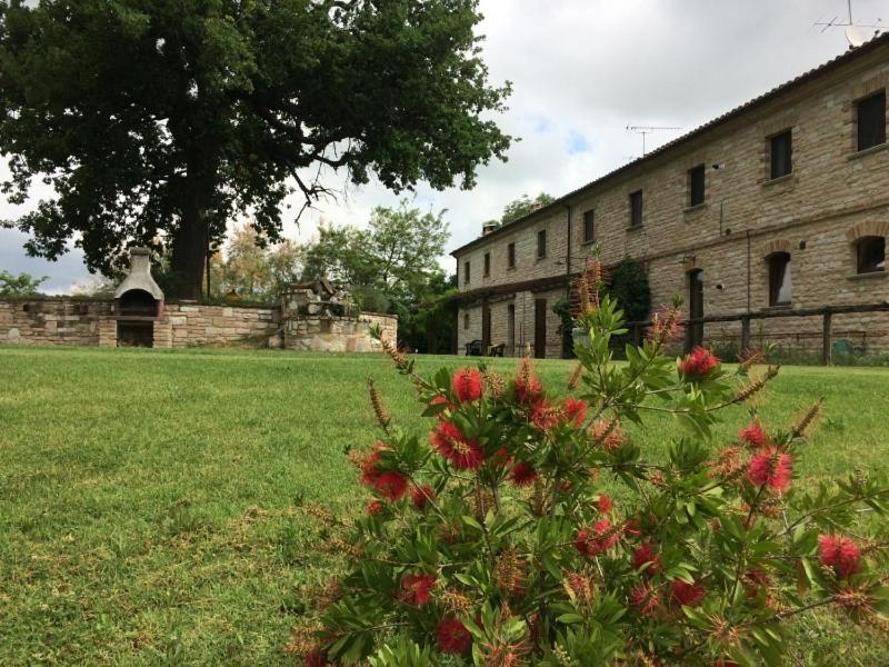 Agriturismo Dai Mori Isola del Piano Luaran gambar